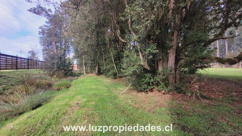 Las Quemas, sector Pullencho - Luz Propiedades