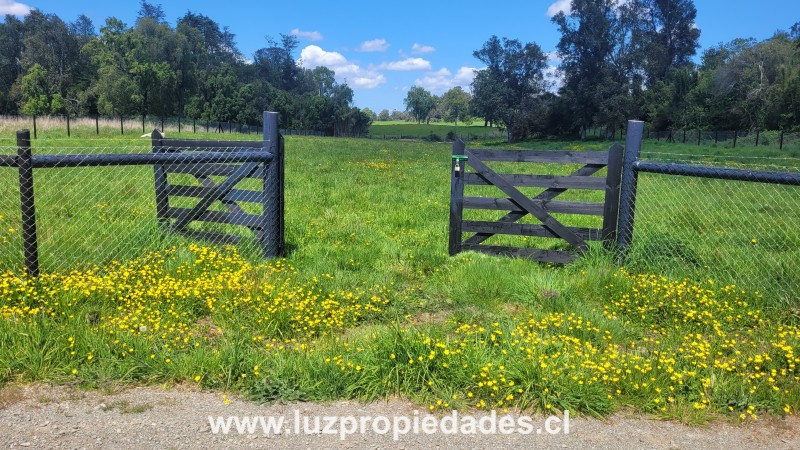 Lote N&deg;33, Sector Paraguay Grande - Luz Propiedades