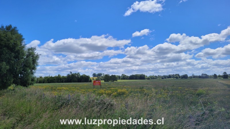 Sector las Quemas Lote N°168 - Luz Propiedades