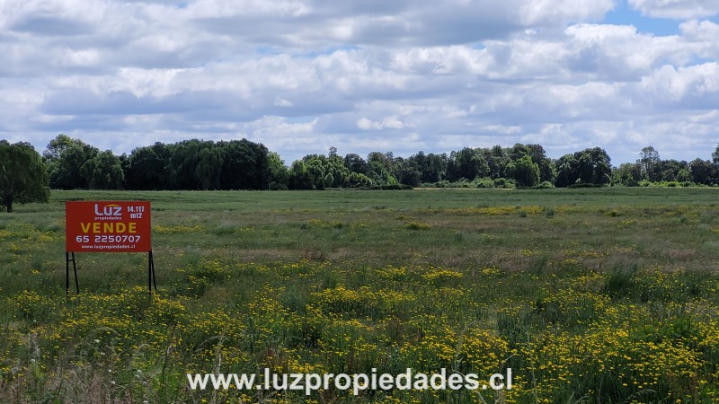 Sector las Quemas Lote N°168 - Luz Propiedades
